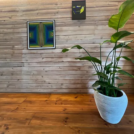 Studio 17-3